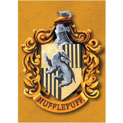 Harry Potter (Hufflepuff) Magnet Metal - MAGMHP10