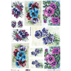 443343 ΡΙΖΟΧΑΡΤΟ ANEMONES 42X29.7ΕΚ. (ITD-R092L) ΠΑΚ