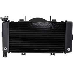 Ψυγείο Νερού Για Yamaha TDM 900 ASIA 8880285