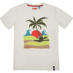 O'Neill Παιδικό T-Shirt 1A2478-1030