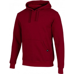 Joma Montana Hoodie Ανδρικό Αθλητικό Φούτερ με Κουκούλα Καφέ 102108-671