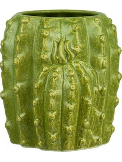 Ποτήρι Κοκτέιλ Cactus