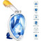 Ocean 21300 Blue/Yellow