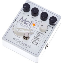 Electro-Harmonix MEL9 Tape Replay