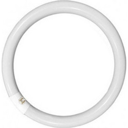 EL140221 | EL140221 | T9 -3phosphor|22W G10q|4000k|1250lm|Φ216mm|enjoysimplicity(TM)