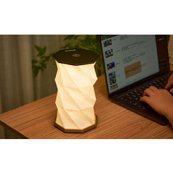 ΔΙΑΚΟΣΜΗΤΙΚΟ ΦΩΤΙΣΤΙΚΟ GINGKO TWIST HEXAGON LIGHT - BLACK G036BK