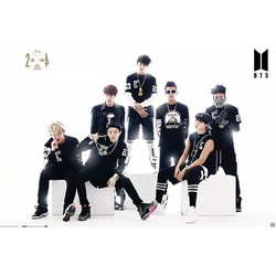 385650 ΑΦΙΣΑ 91,5Χ61ΕΚ. BTS BLACK - WHITE