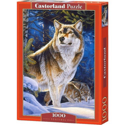 Puzzle Castorland Sentinel 1000 Κομμάτια