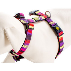 Max & Molly Latte Σαμαράκι Σκύλου 36-58cm/54-69cm