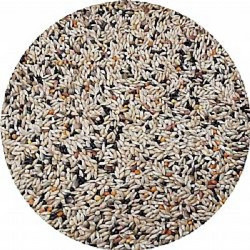 Professional Pro Mix 5 Τροφή για Καναρινιά Τύπου +amp Χρώματος 20kg + 2kg Δώρο