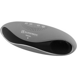 Audiobox P5000V Ηχείο Bluetooth 6W με Ραδιόφωνο Γκρι