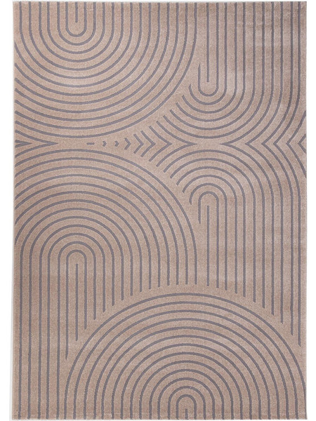 Royal Carpet Organic Χαλί Ορθογώνιο 200x250cm 565 Beige