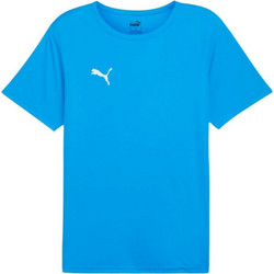Puma Team Rise Ανδρικό Αθλητικό T-Shirt Τιρκουάζ 706132-02