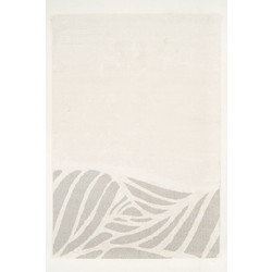 Ezzo Pavia Χαλί Ορθογώνιο 200x250cm F071B3R Cream Grey