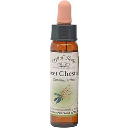 Crystal Herbs Sweet Chestnut Ανθοΐαμα σε Σταγόνες για Μελαγχολία & Απελπισία 10ml