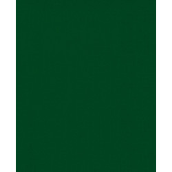 Canson Colorline Χαρτόνι Κανσόν Κυπαρισσί 50x70cm 105741030