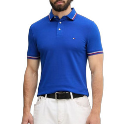 Tommy Hilfiger Ανδρική Μπλούζα Polo Κοντομάνικη Royal Blue MW0MW39993-C7F