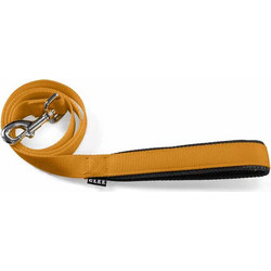 Glee Comfort Λουρί Σκύλου 1.22m x 25mm Πορτοκαλί