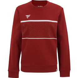 Tecnifibre Γυναικείο Αθλητικό Φούτερ Μπορντό 21WTESCRM