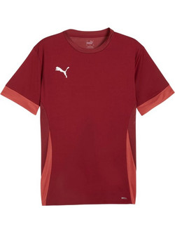 Puma TeamGoal Matchday Φανέλα Ποδοσφαίρου Καφέ 705747-09