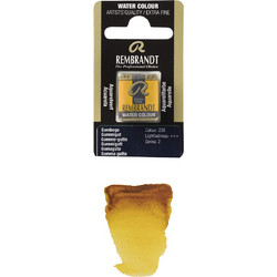 Royal Talens Rembrandt 238 Gamboge Νερομπογιά 11-586-238