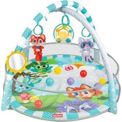 Winfun Playspace Play Gym And Ball Pit