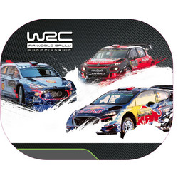 WRC Σκίαστρα 2τμχ 36x45cm