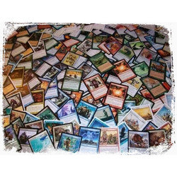 Magic the Gathering 256-Card Big Pack + case card