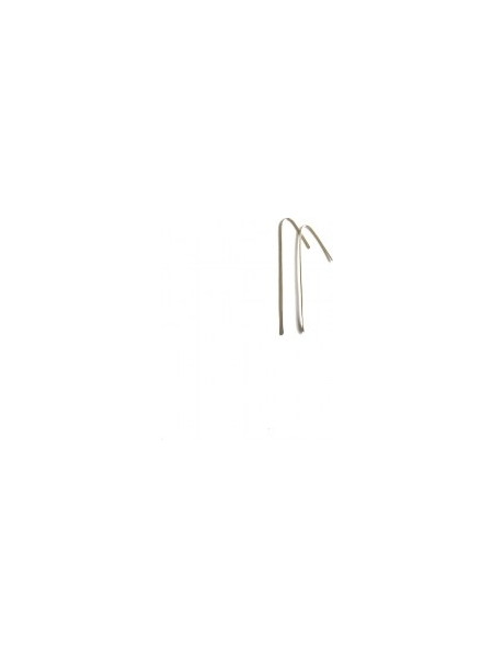 Drop Earrings