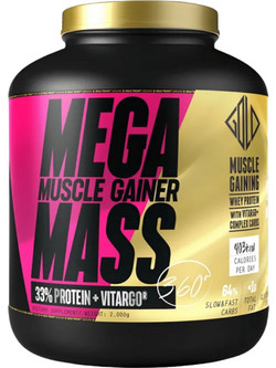 Gold Touch Nutrition Mega Mass Milk Chocolate Πρωτεΐνη Ορού Γάλακτος Όγκου Χωρίς Λακτόζη 2kg
