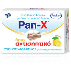 Pan Antiseptic Αντισηπτικό Σαπούνι 120gr