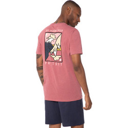 Protest Prtabdiel T-Shirt 1714021-776