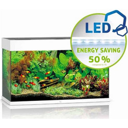 Juwel Aquarium Rio 125 Ενυδρείο Ψαριών με Φωτισμό, Θερμαντήρα, Κυκλοφορητή & Φίλτρο 125lt Λευκό