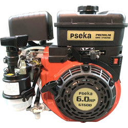 PSEKA 1602-001-0066