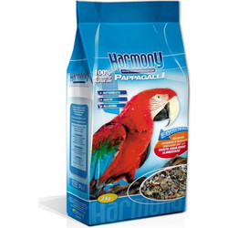 Elevage Big Parrots 3kg