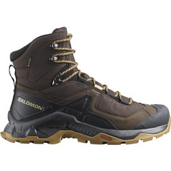 Salomon Quest Element Ανδρικά Ορειβατικά Μποτάκια Αδιάβροχα Gore-Tex Καφέ L47216100