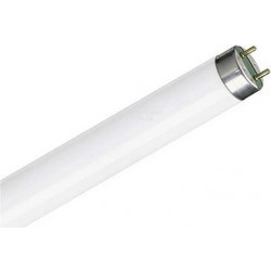Λάμπα Φθορίου 8W Τ5 για RT-11,RT-30,RT-20 A-983 401000008 Olympia 401000008