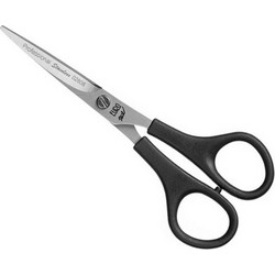 Ψαλίδια Μαλλιών Eurostil Tijera Profesional 5,5"