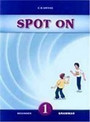 Spot on 1 Beginner Grammar