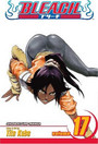Bleach, Vol. 17 Bleach, Vol. 17