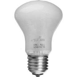 Elinchrom Modelling Lamp 196V 100W (23002)