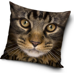Cat pillowcase 40*40 cm