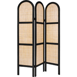 Παραβάν (120x1.5x170) A-S Rattan 178720A