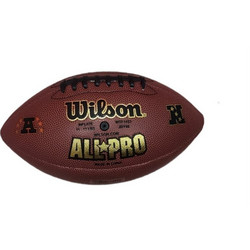 Wilson Junior NFL Team Logo FB NG 01WTF1453