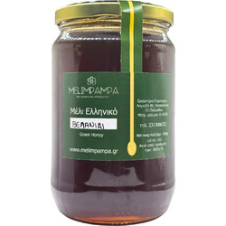 ΜΕΛΙ ΒΕΛΑΝΙΔΙΑΣ 920gr
