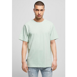 C&S Plain Tee bird's egg green