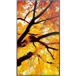 Sharp 60006053 Public Display 42.5" 4K UHD