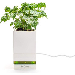 Designnest(R) LeGrow |TG-P1| |Friendly Workplace| Έξυπνο γλαστράκι - φορτιστής Quick Charge 3.0