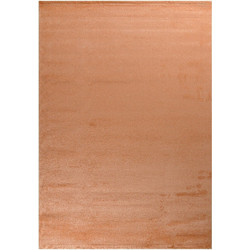 Tzikas Carpets Silence Χαλί Ορθογώνιο 160x230cm 20153-021