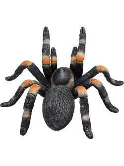 Animal Planet Ταραντούλα 23407